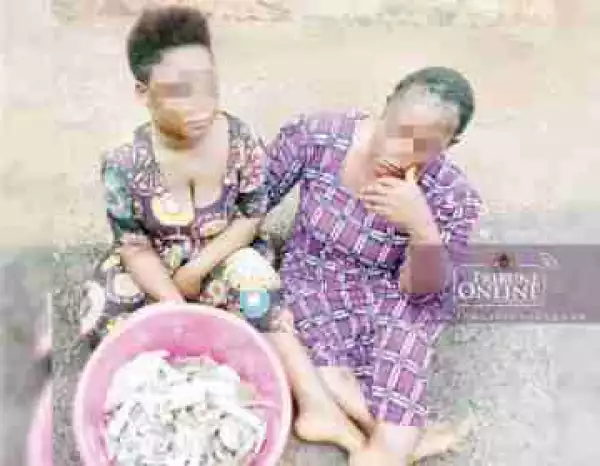 Mother And Daughter Arrested For Selling Cannabis, Skunk In Ogun (Photo)